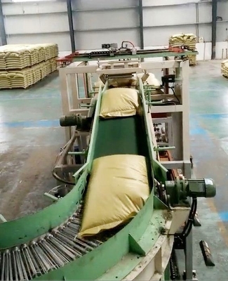 Palletizer automatique et personnalisable pour l'alimentation pour usine d'emballage 4100mm*1600mm*1450mm