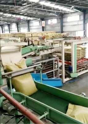 Palletizer automatique et personnalisable pour l'alimentation pour usine d'emballage 4100mm*1600mm*1450mm